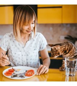 Ezekkel ne etesd SOHA a cicádat!