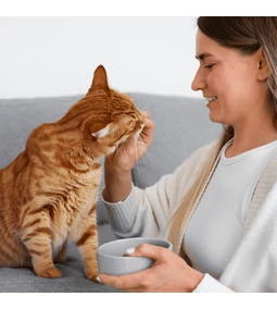 Miért szeretik a macskák a halas eledeleket?