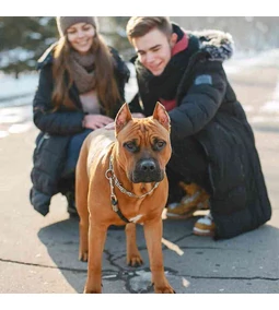 Tanácsok kinti kutyás gazdiknak a hideg időre