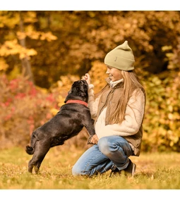 Mi változik ősszel a kutyák tápanyagigényében?